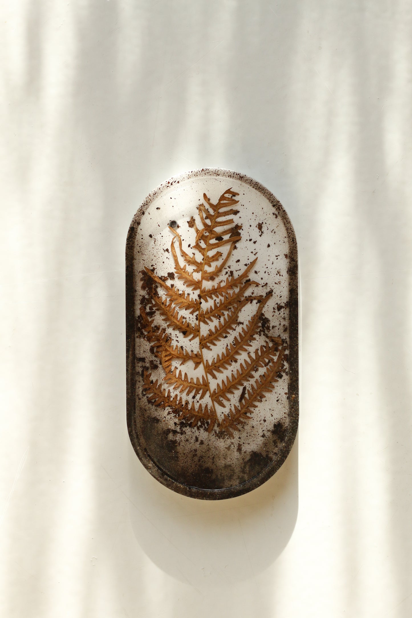 Cup No. 01