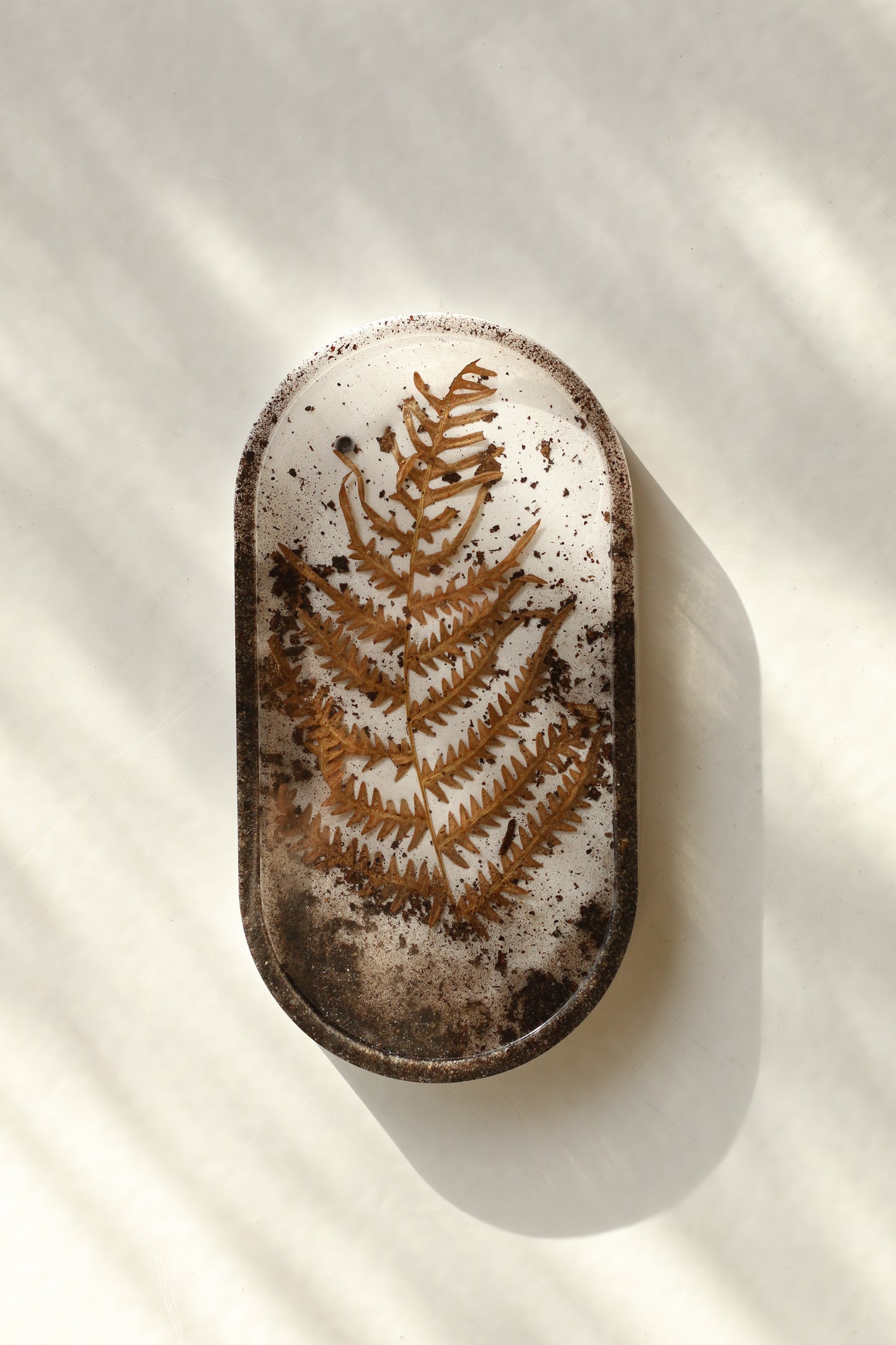 Cup No. 01