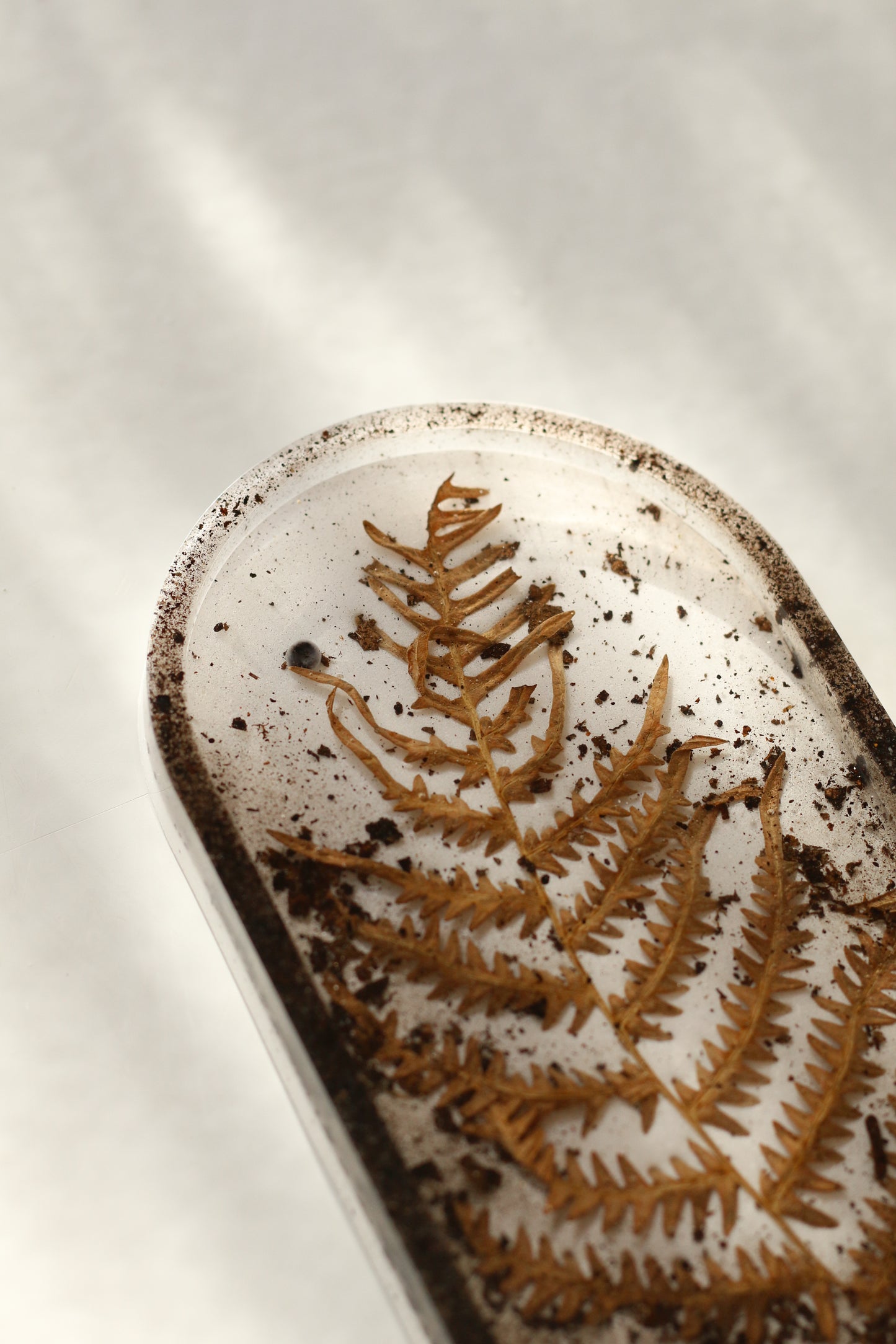 Cup No. 01