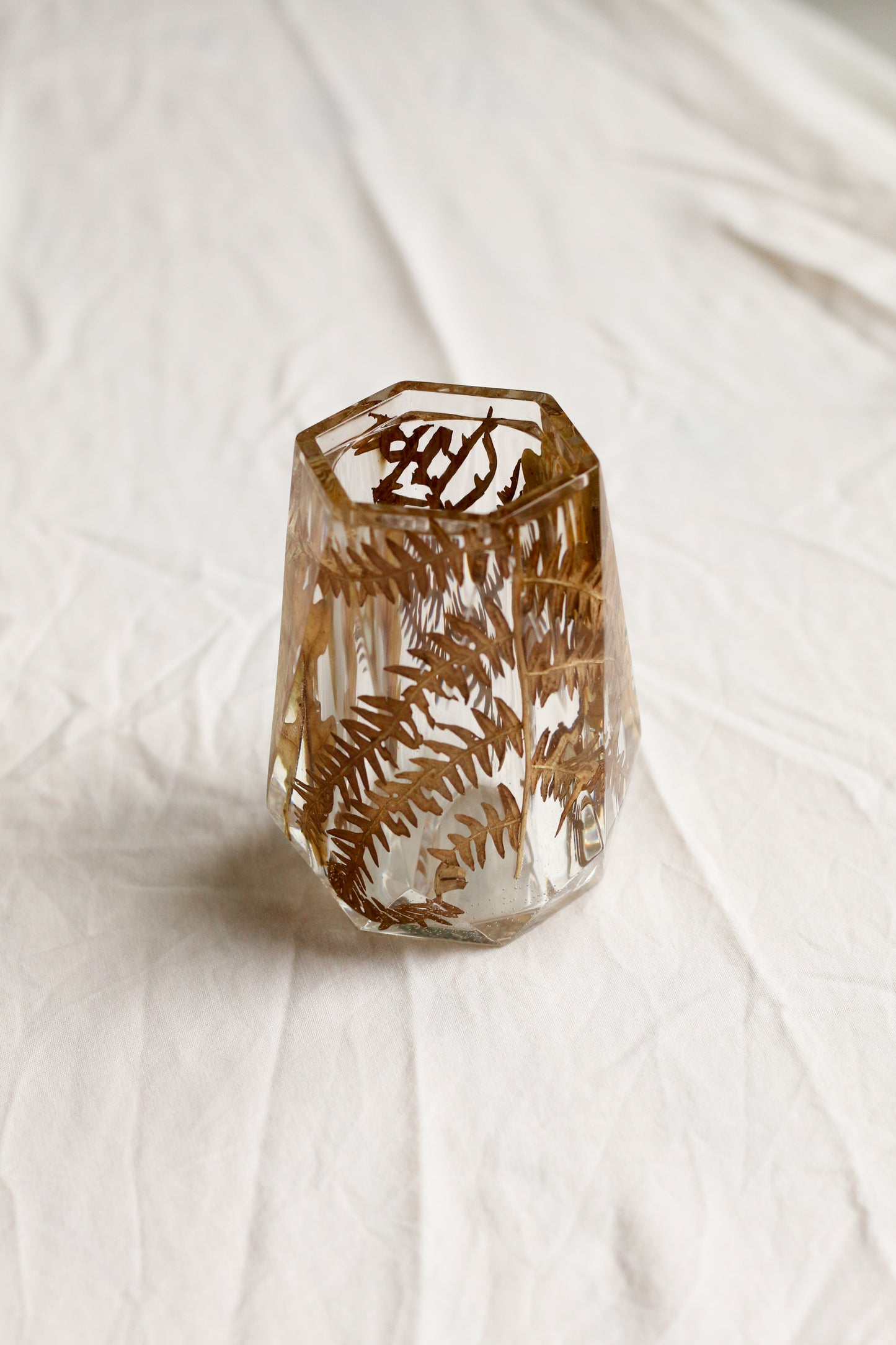 Fern vase n°01