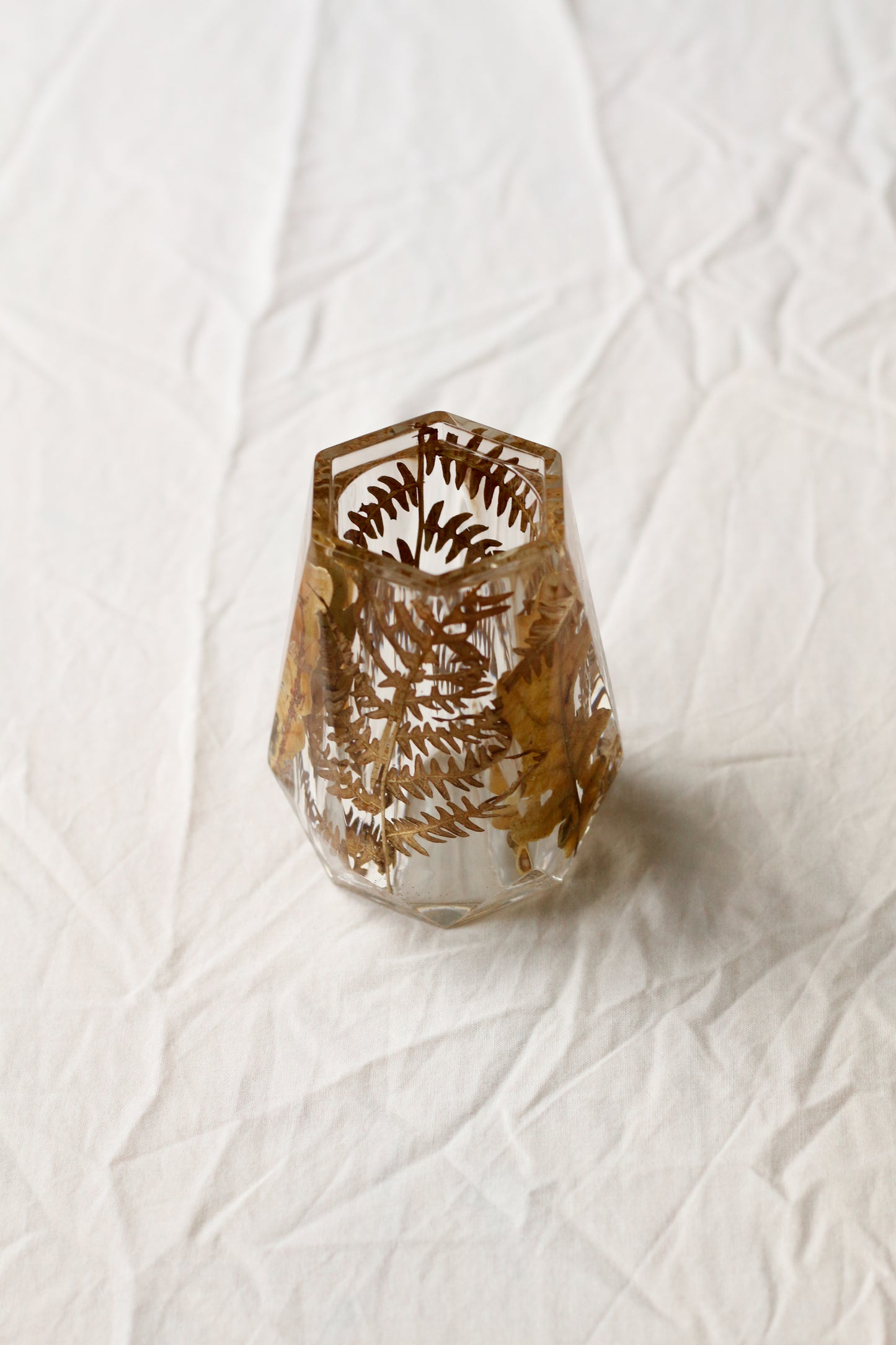 Fern vase n°01