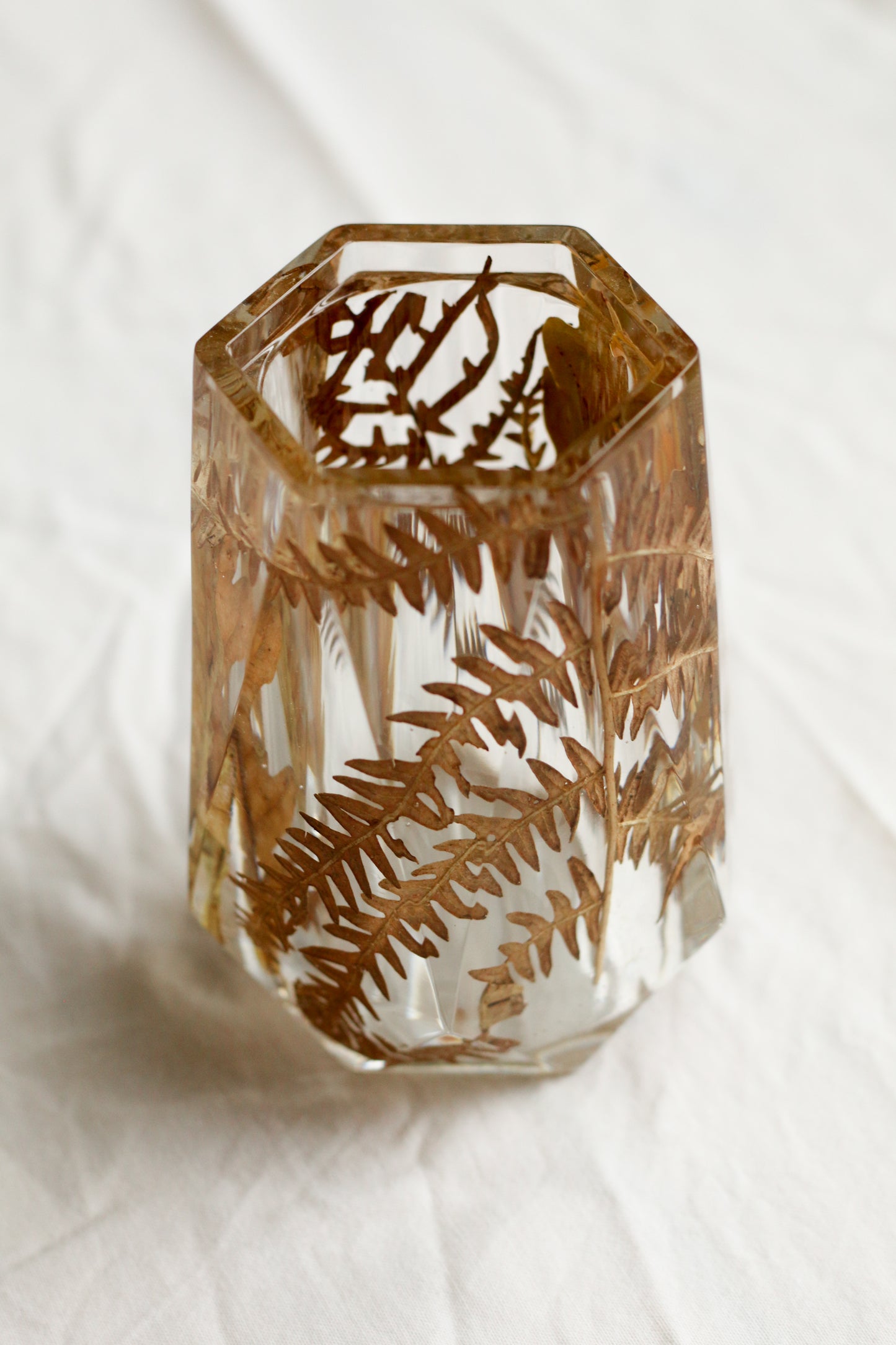Fern vase n°01