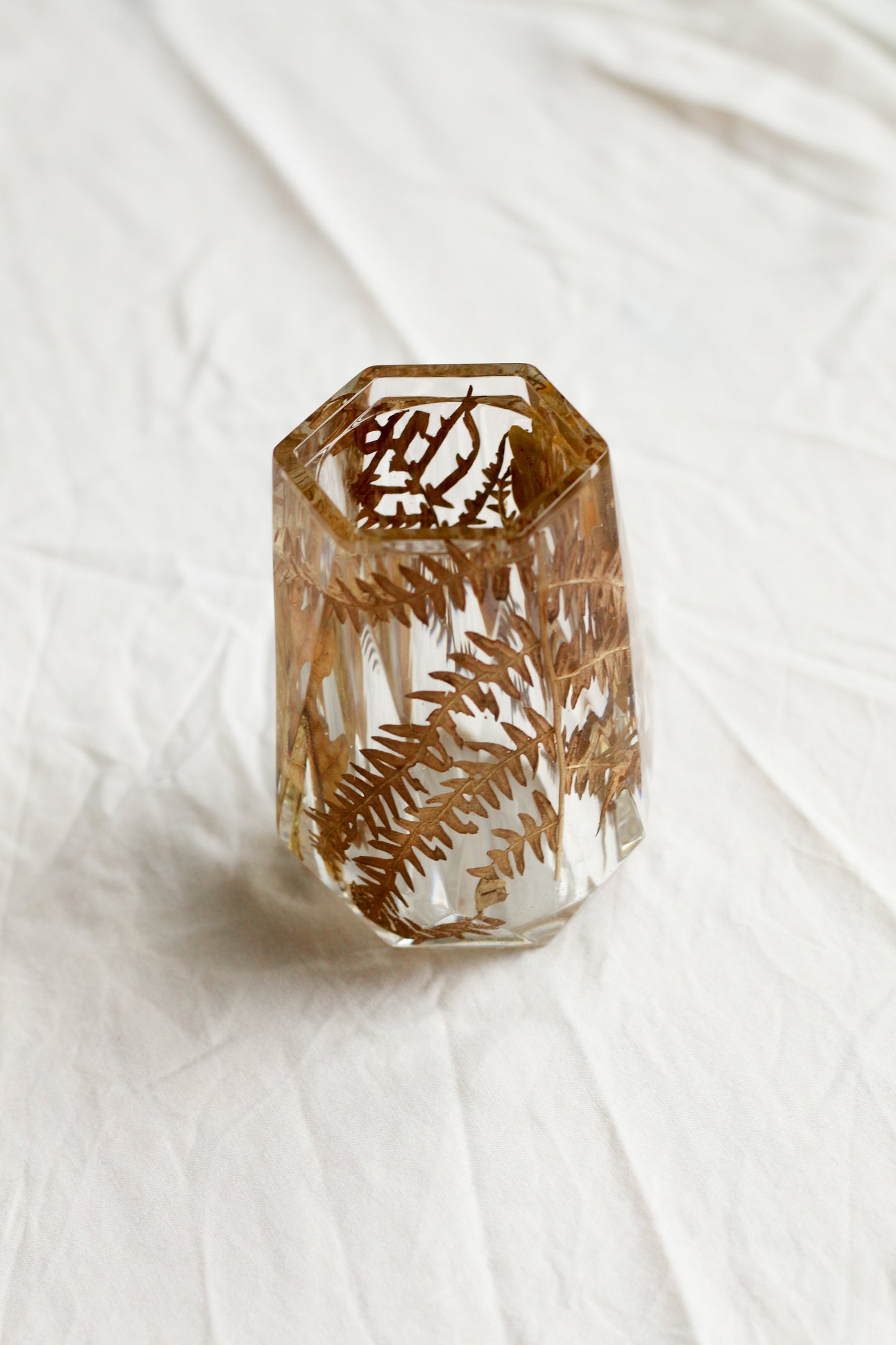 Fern vase n°01