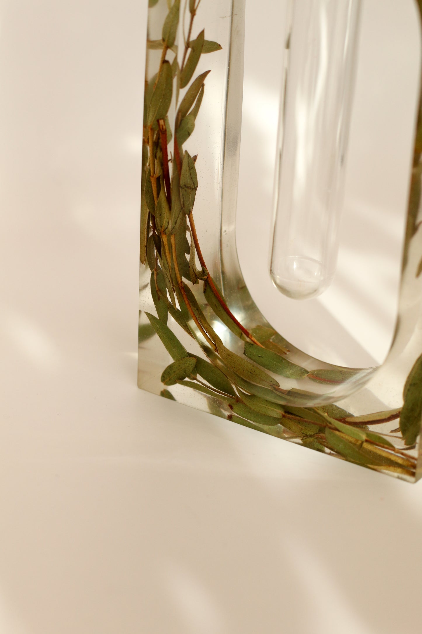 Soliflore eucalyptus