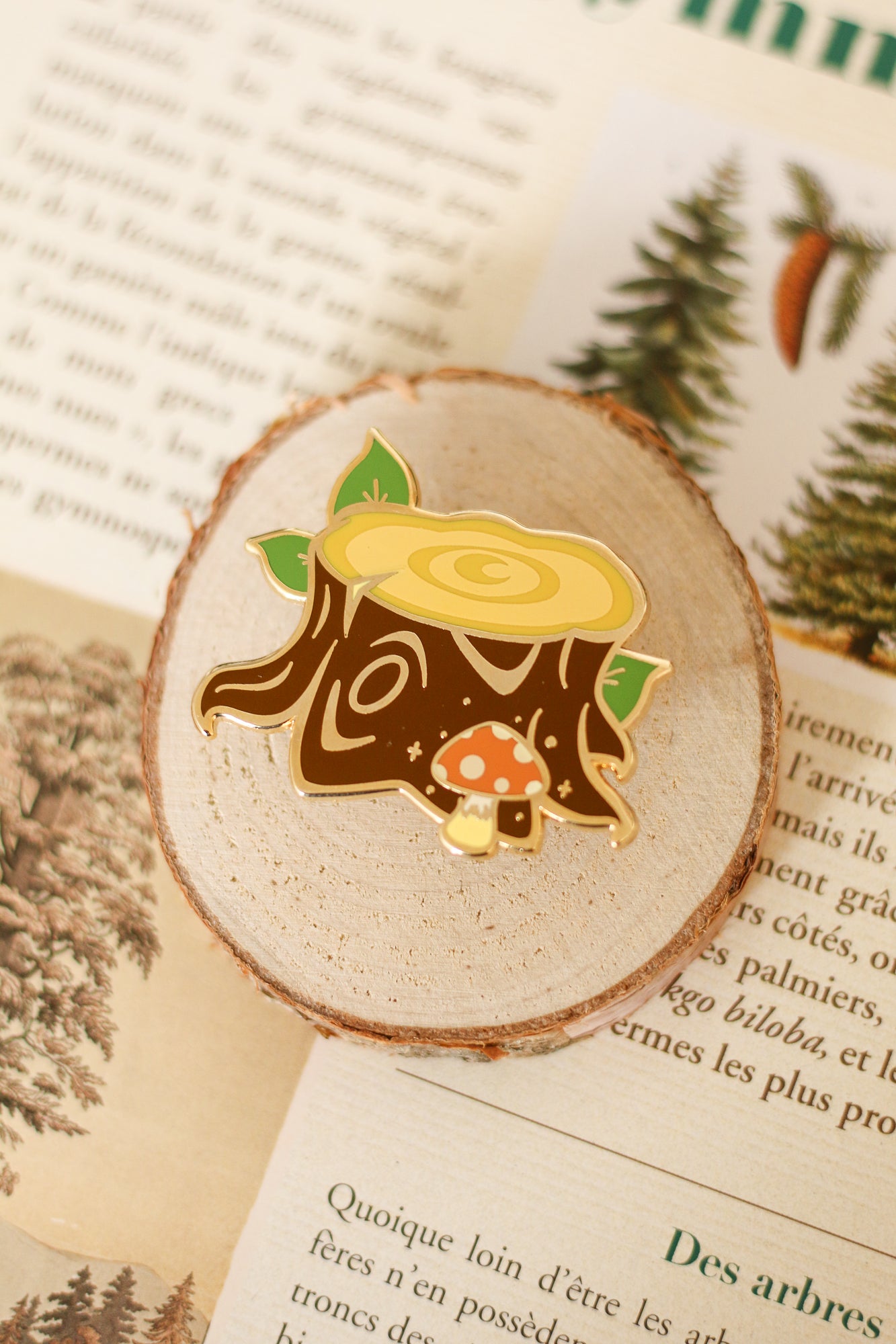Pin's souche d'arbre
