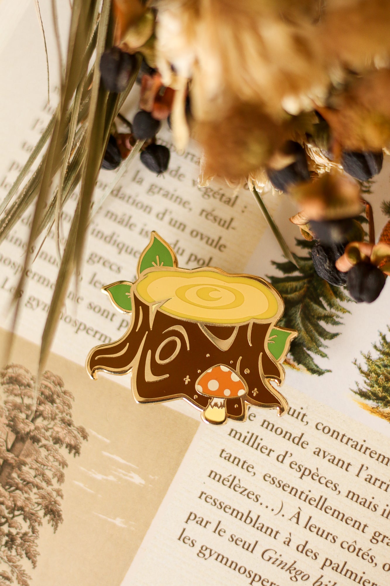 Pin's souche d'arbre