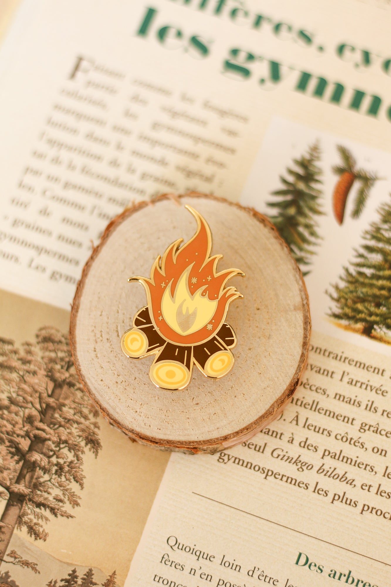 Pin's feu de camp