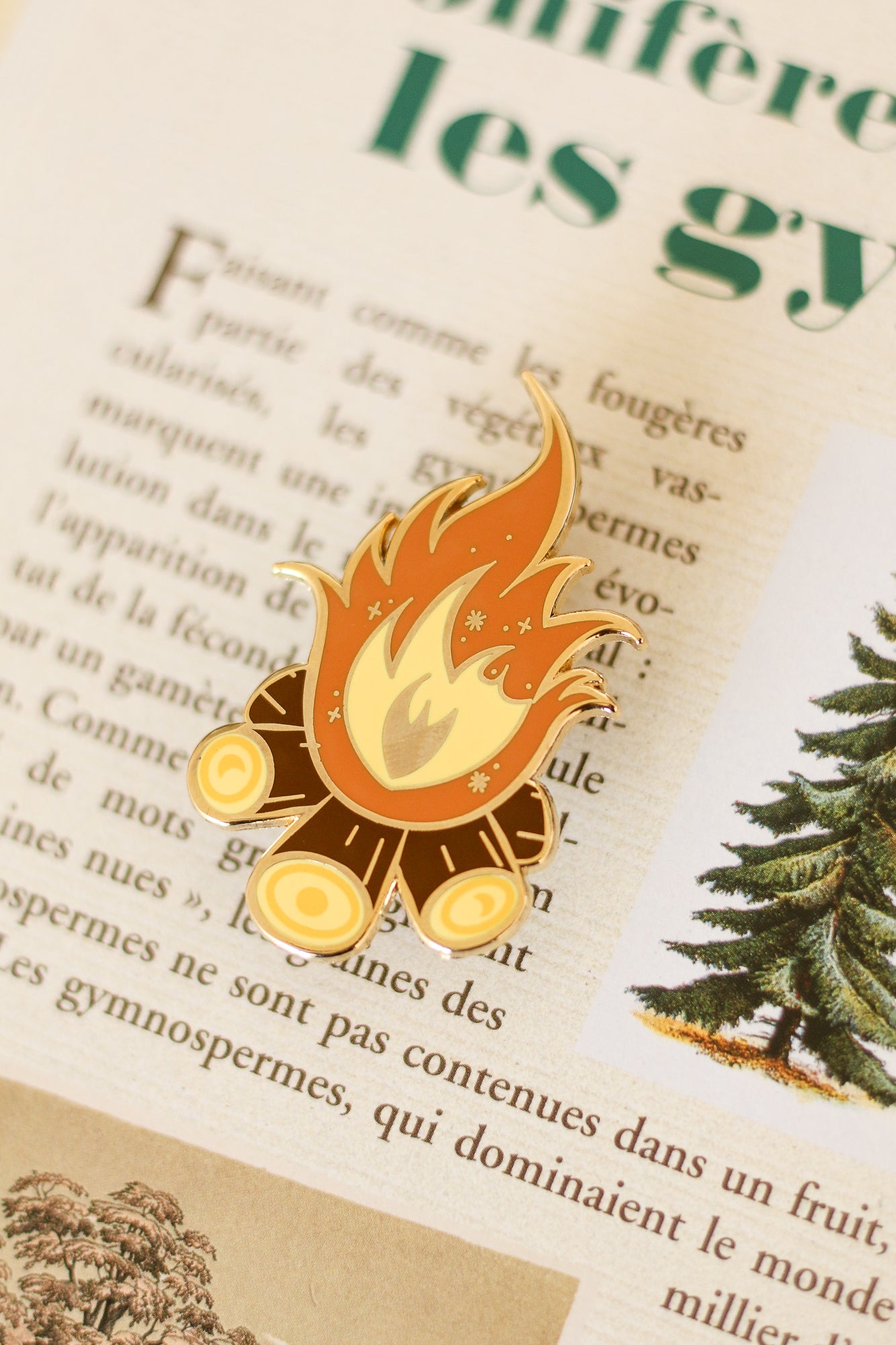 Pin's feu de camp