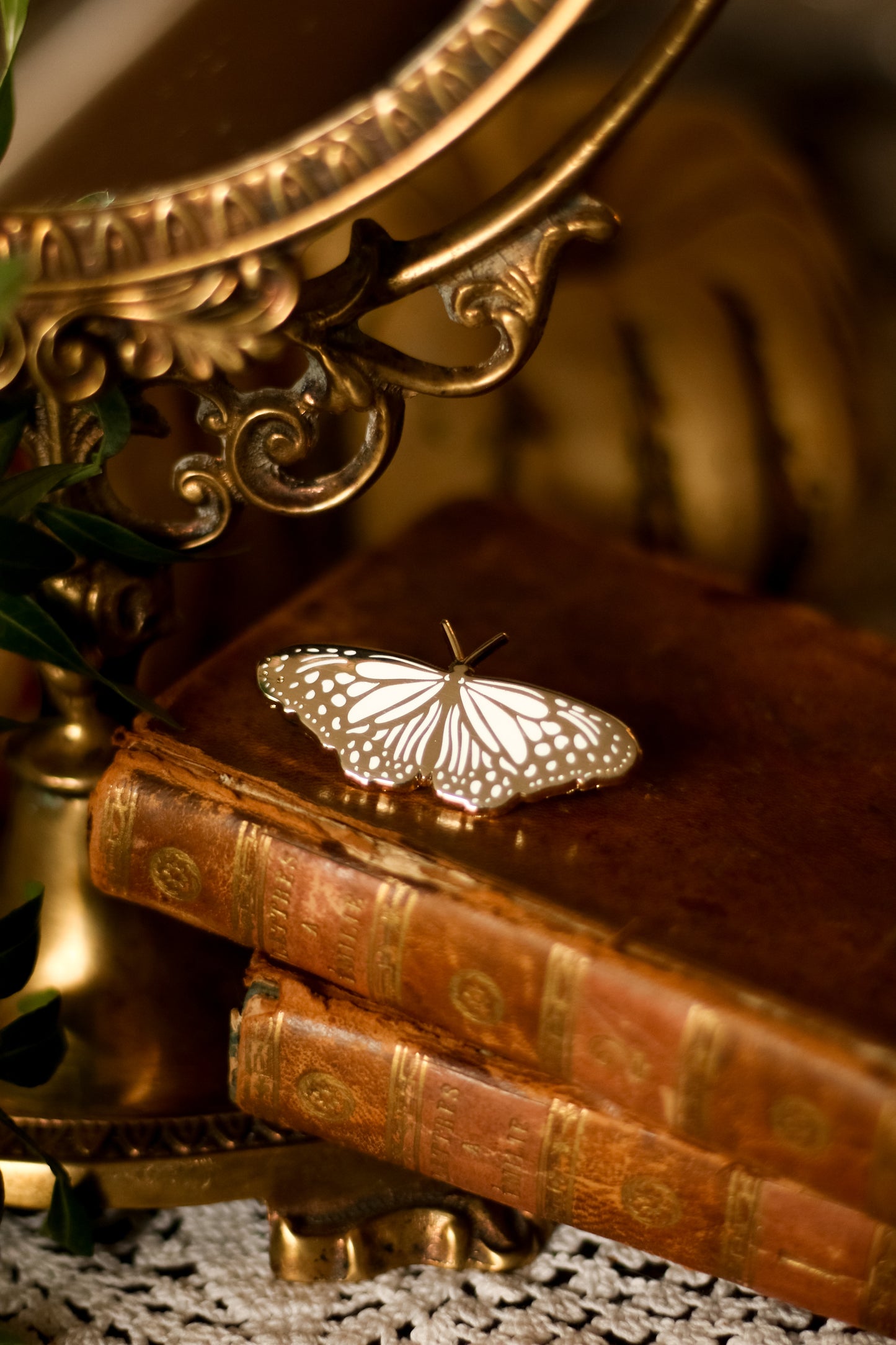 Lot de 2 pin's : Night & Light moth