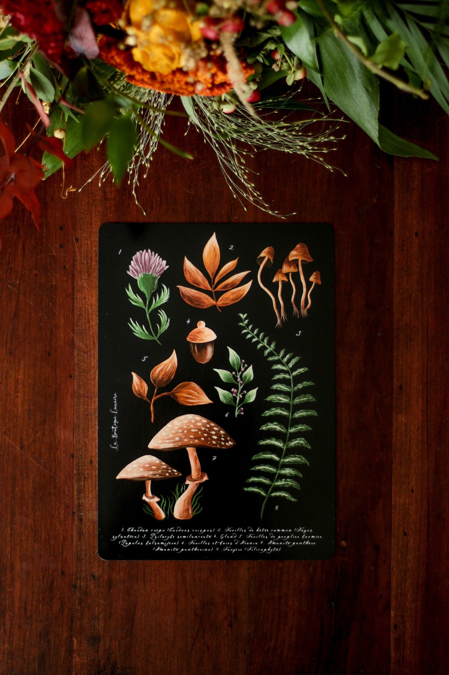 Illustration A5 Forest Picking