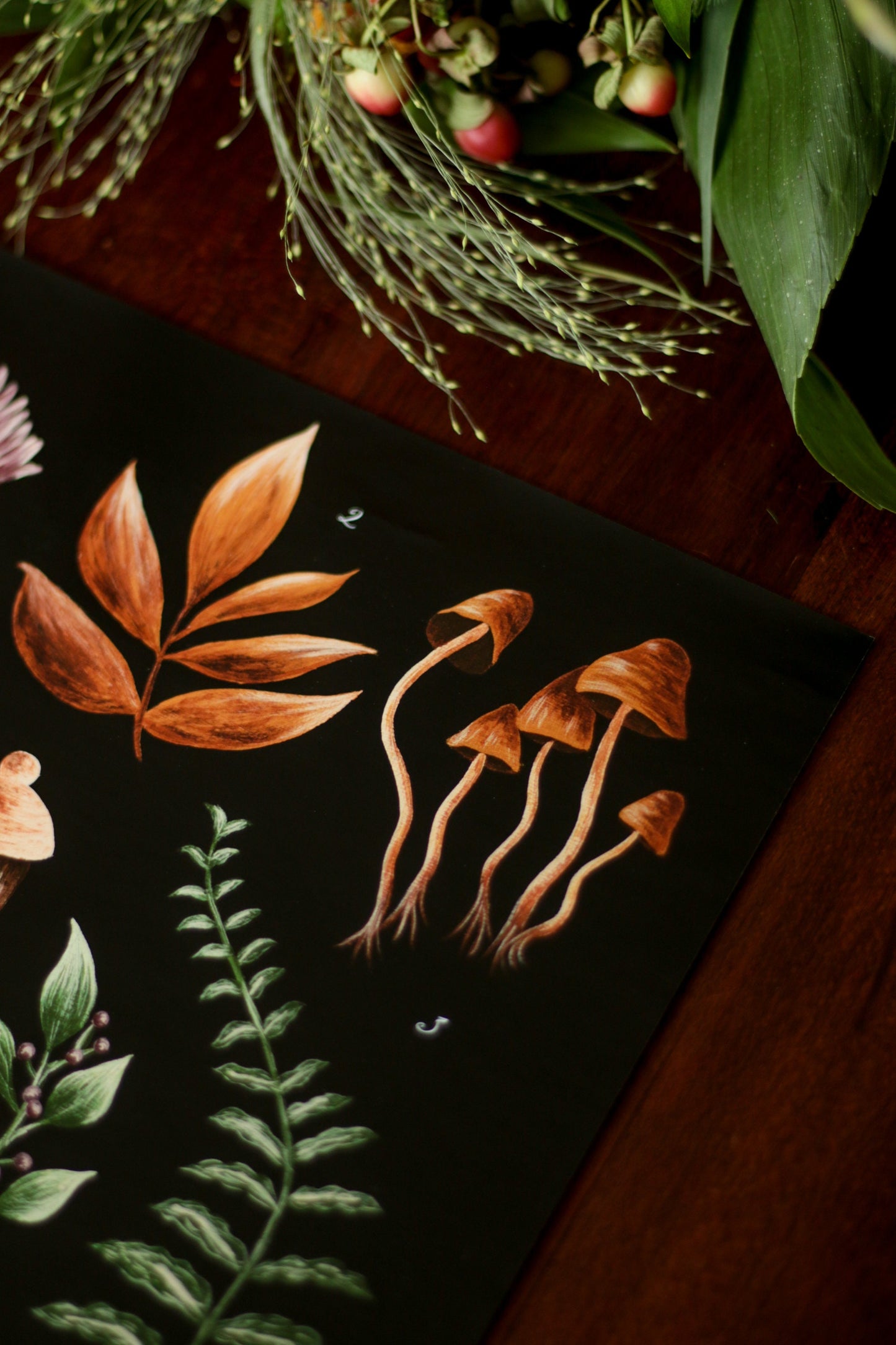 Affiche A4 Forest Picking