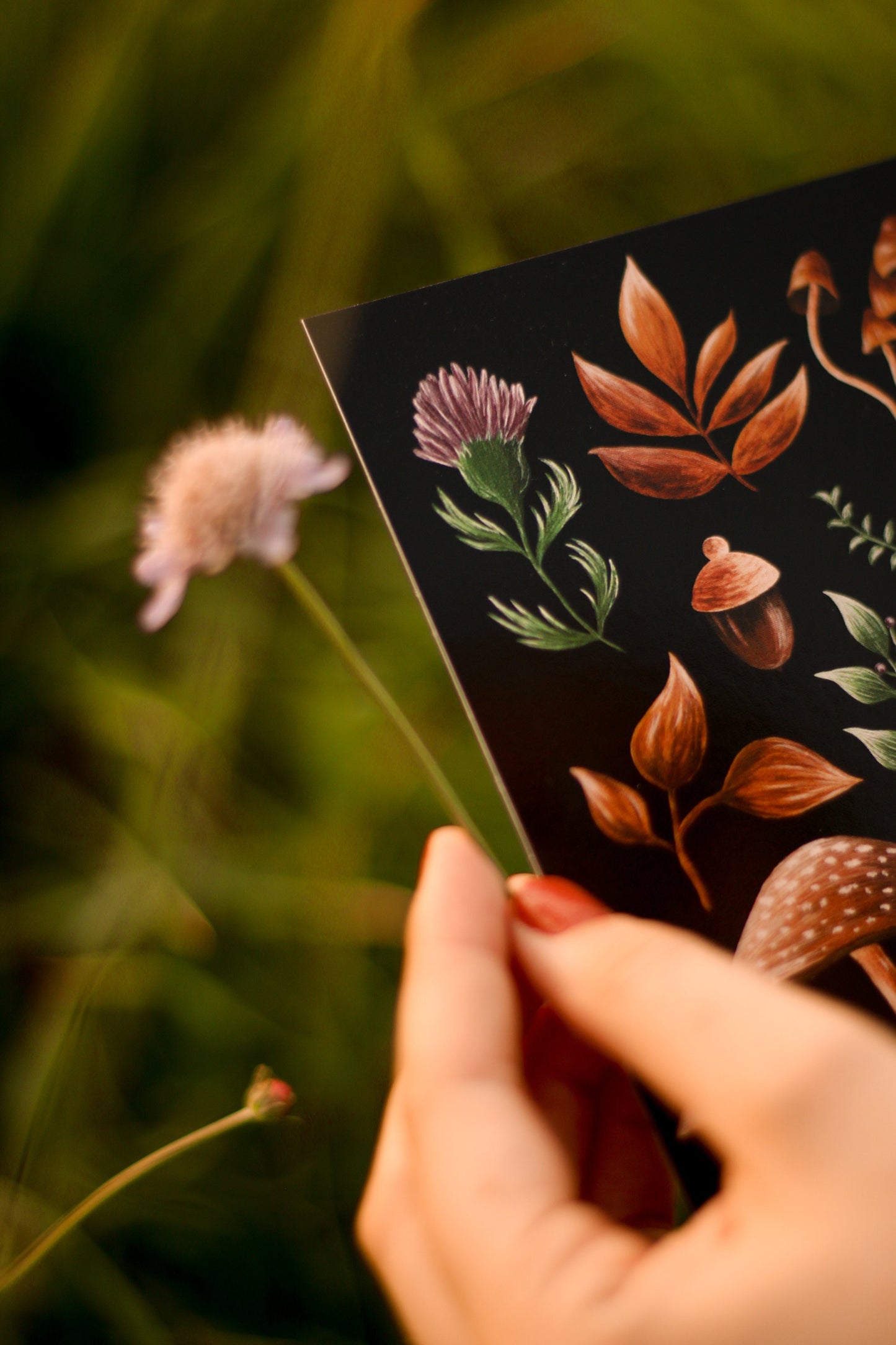 Carte Postale Forest Picking