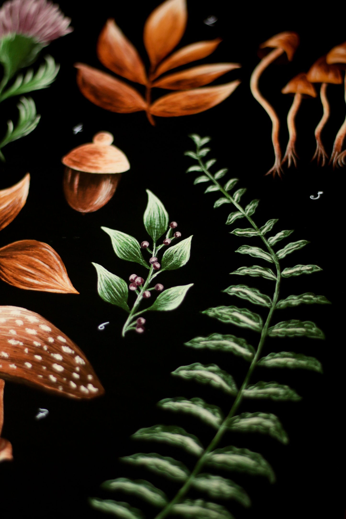 Illustration A5 Forest Picking