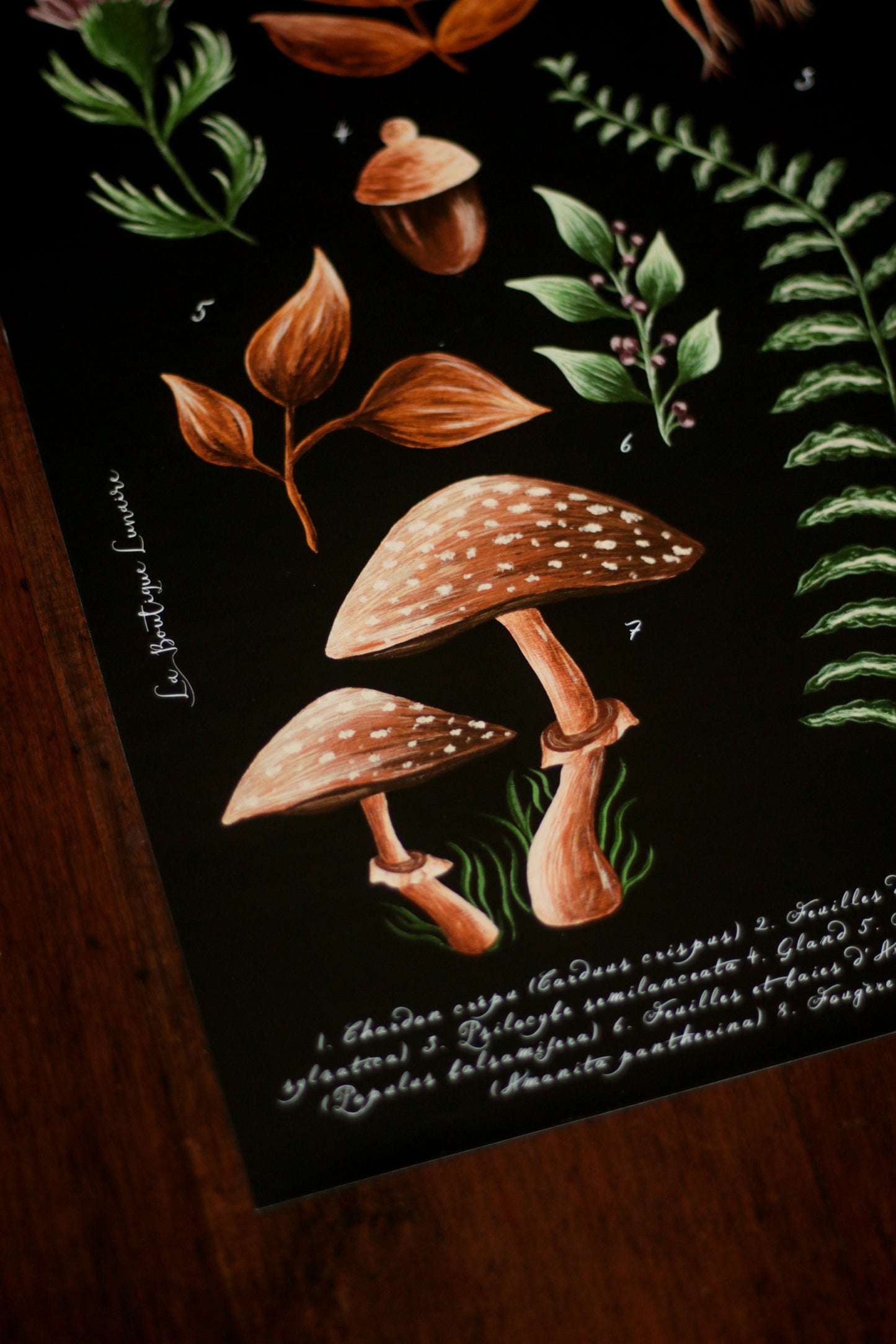 Affiche A4 Forest Picking
