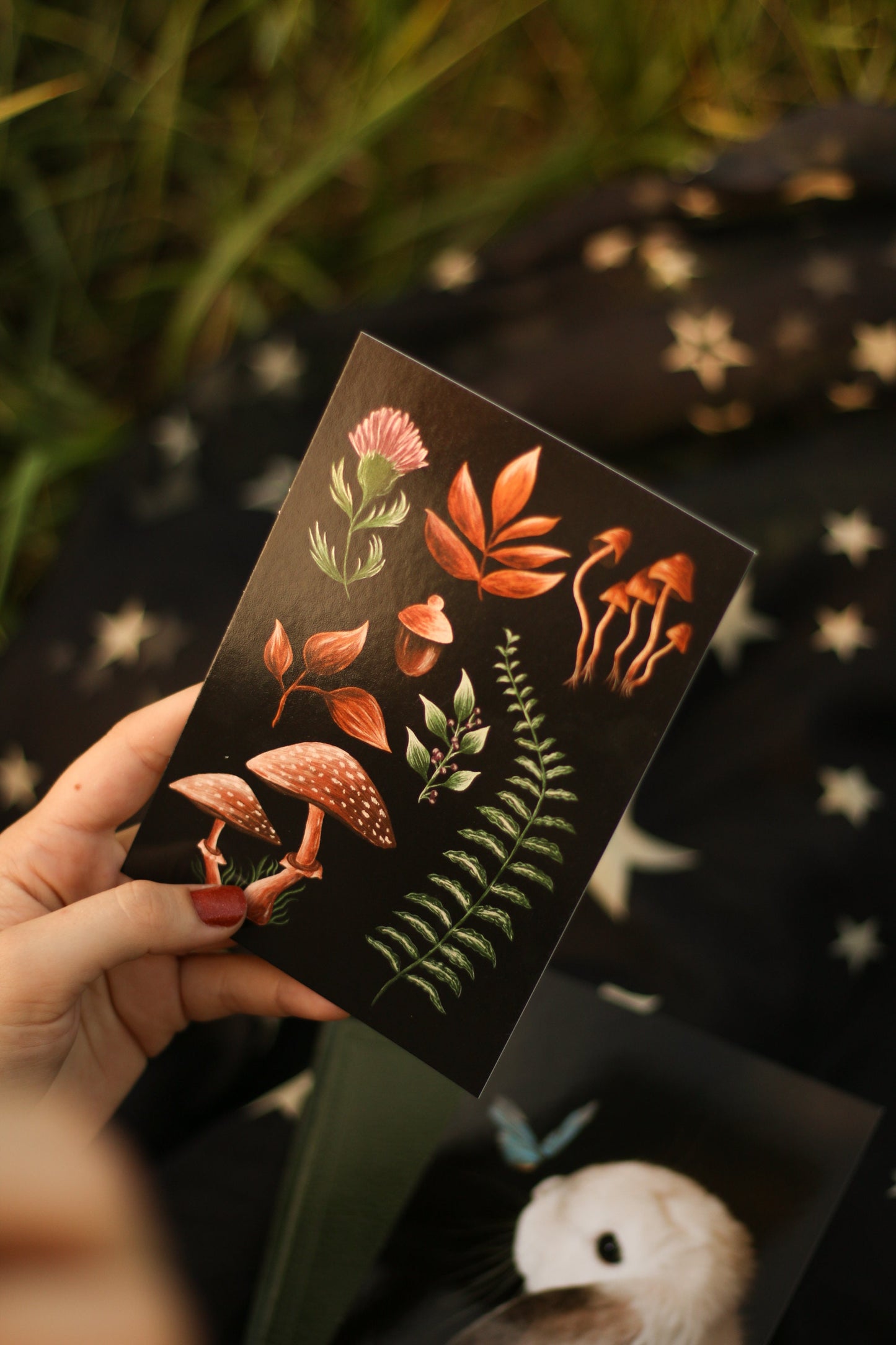 Carte Postale Forest Picking