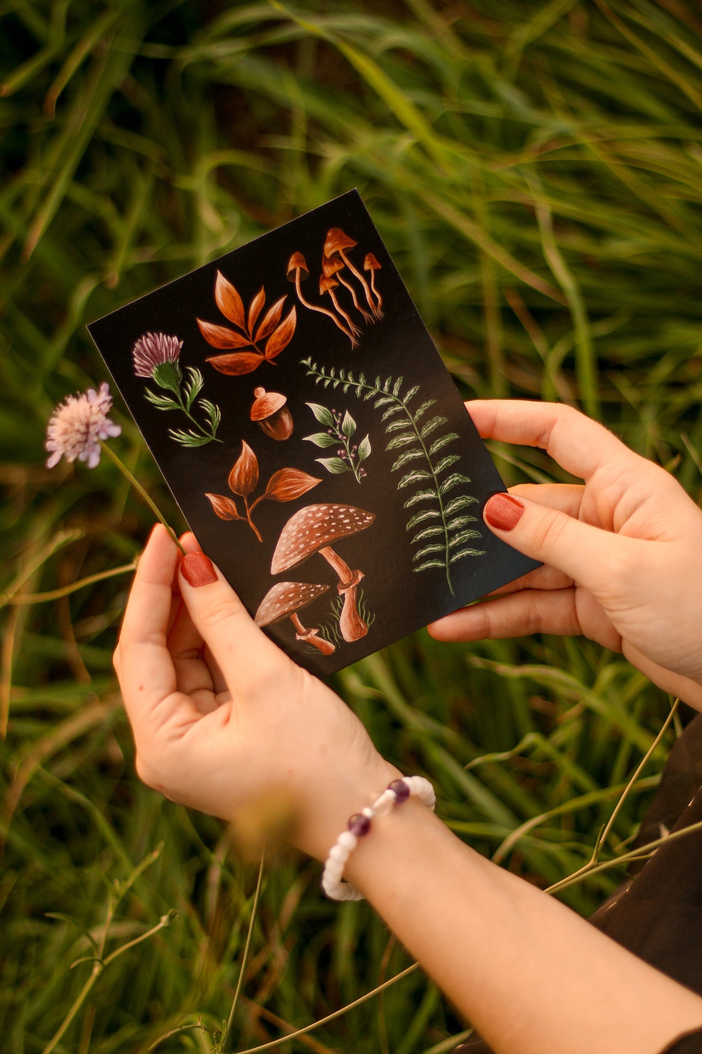 Carte Postale Forest Picking