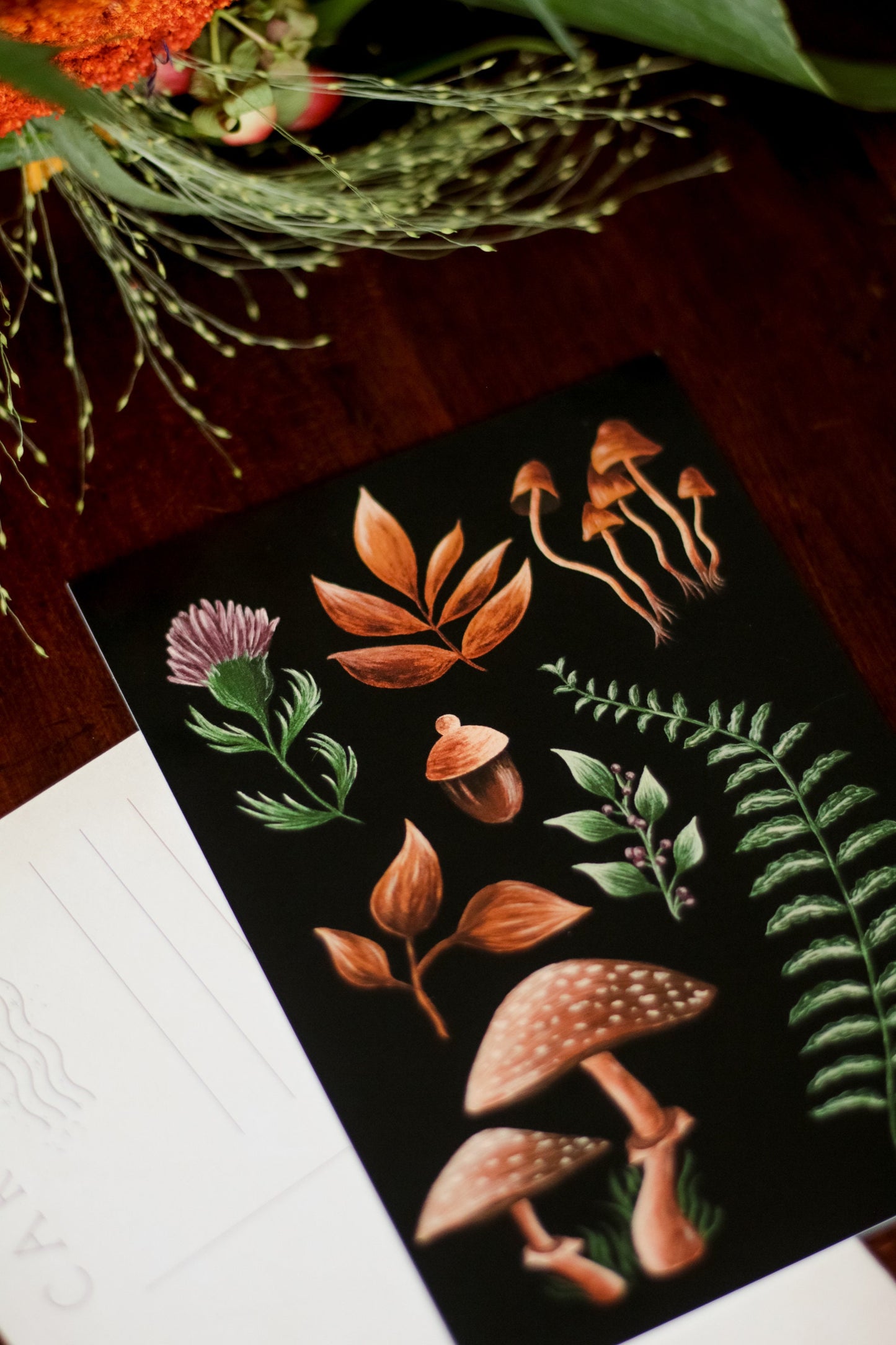 Carte Postale Forest Picking