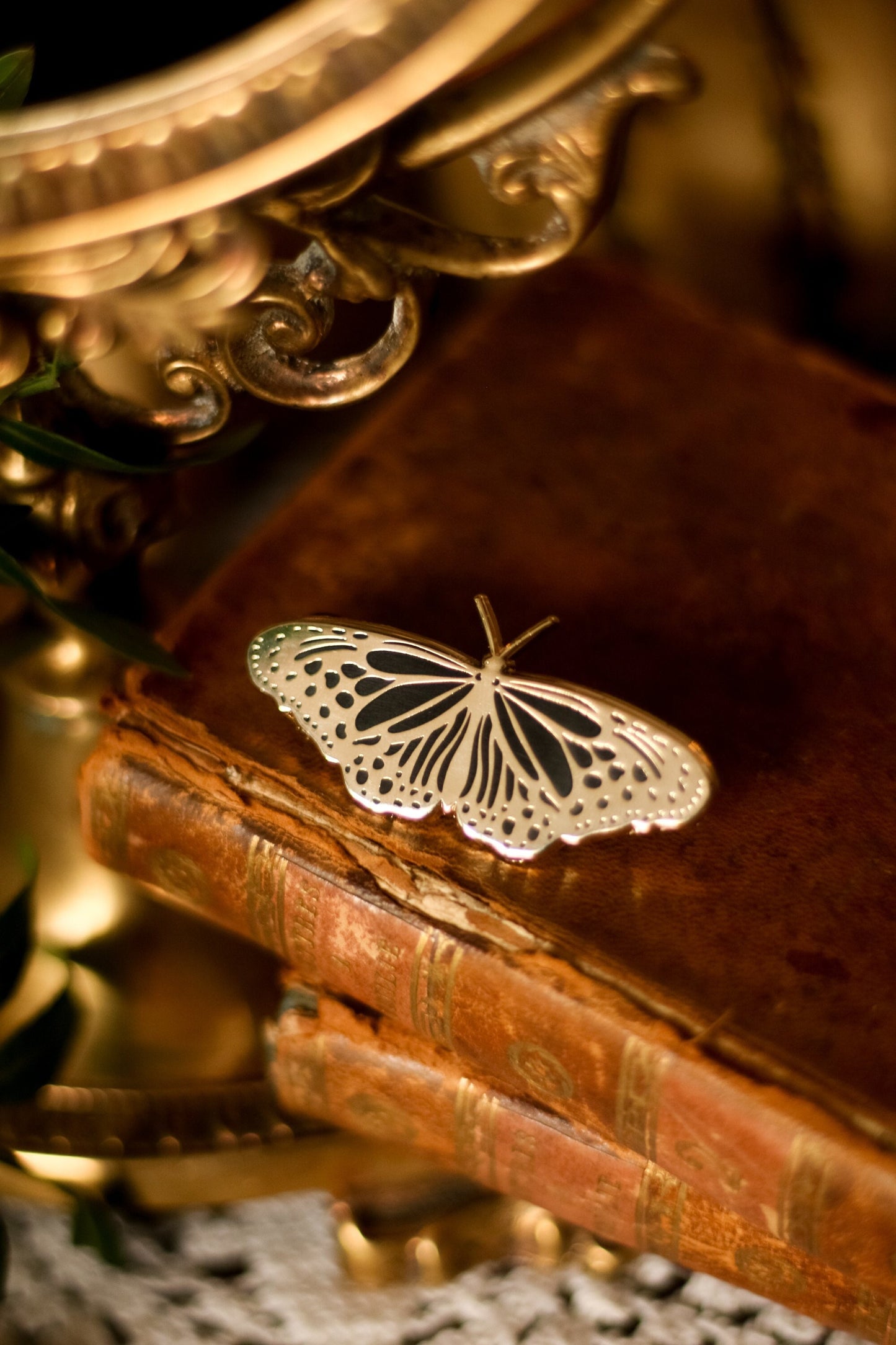 Pin's Night Moth