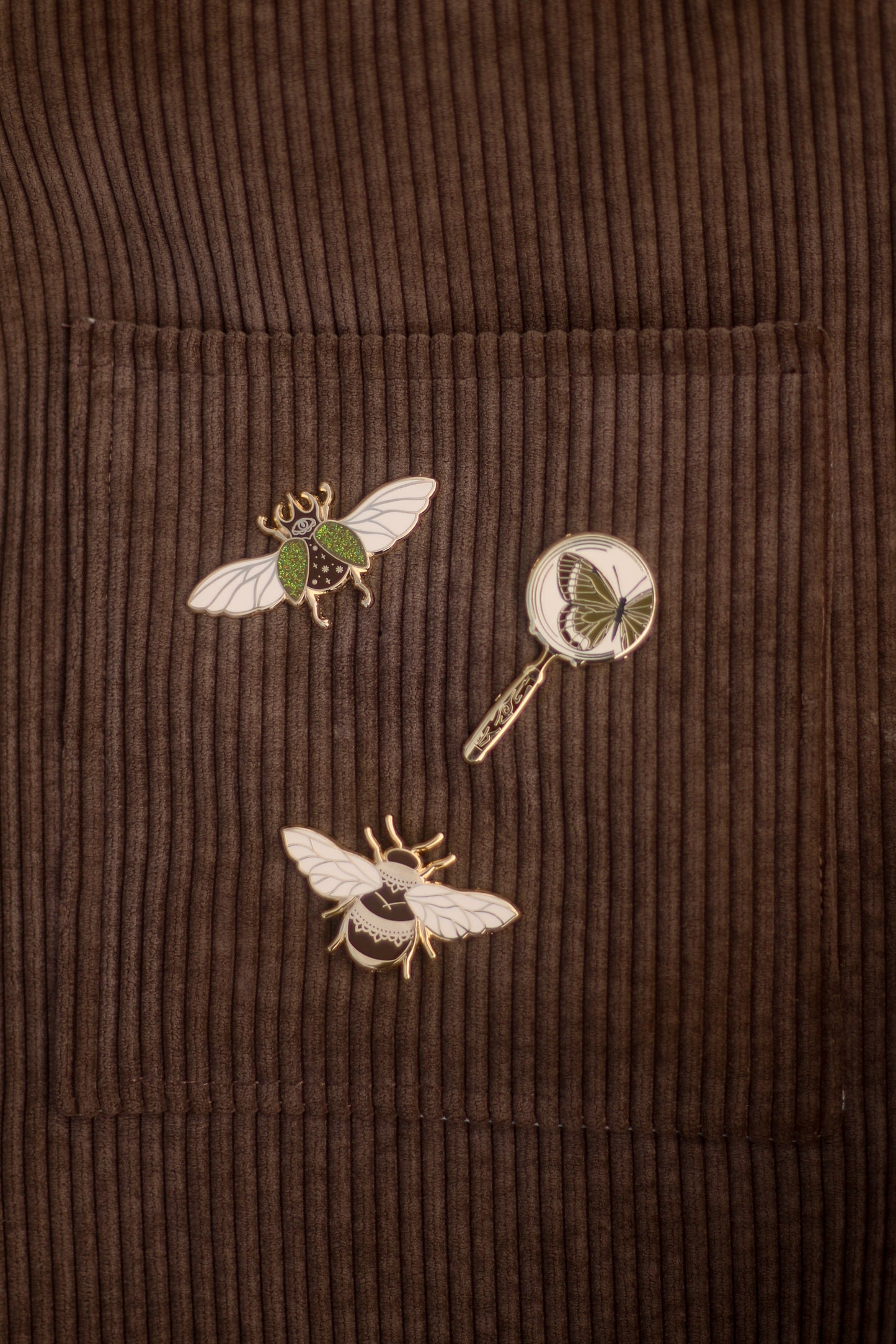 Lot de 3 pin's : abeille, scarabée, loupe
