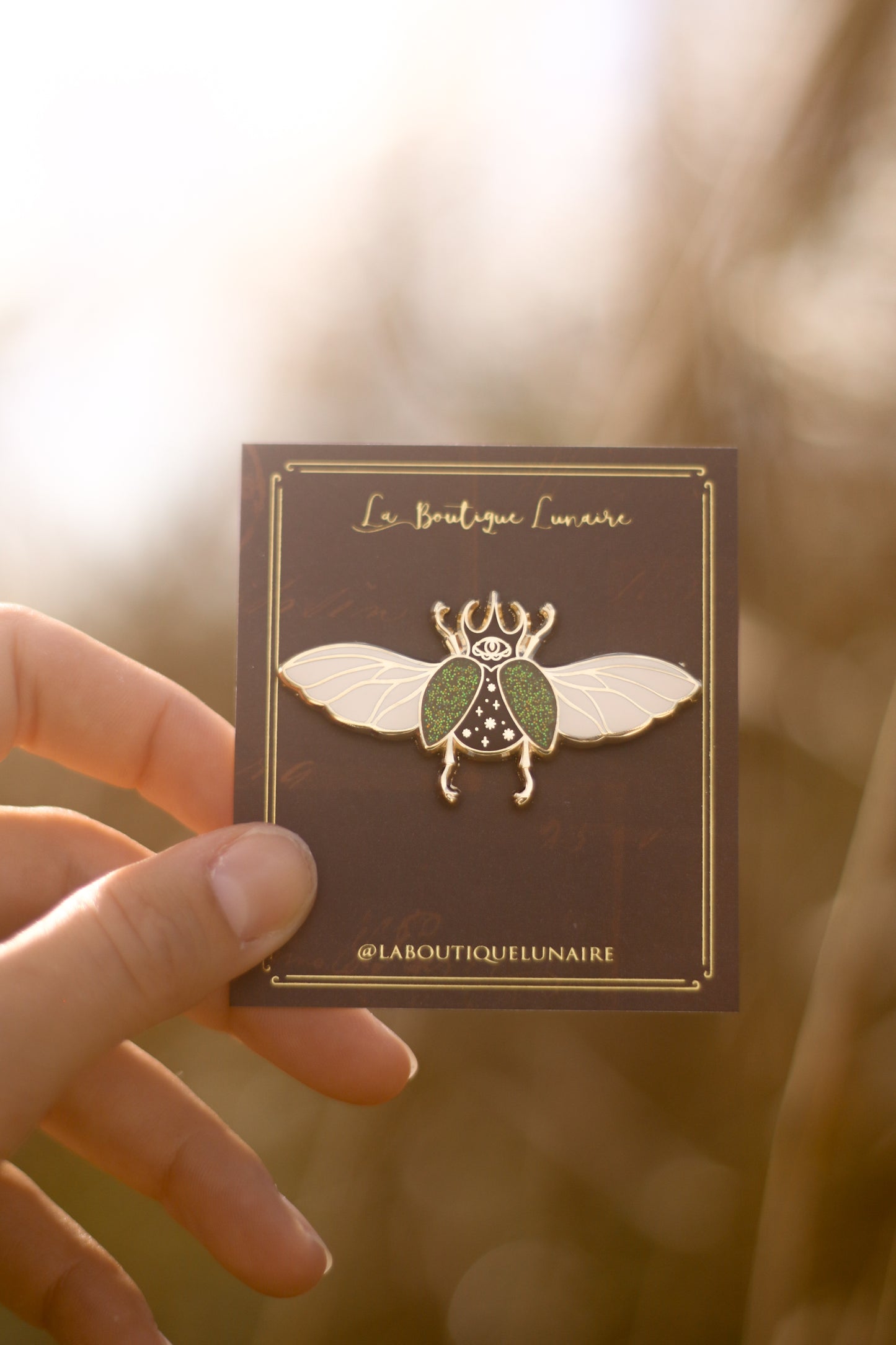 Lot de 3 pin's : abeille, scarabée, loupe