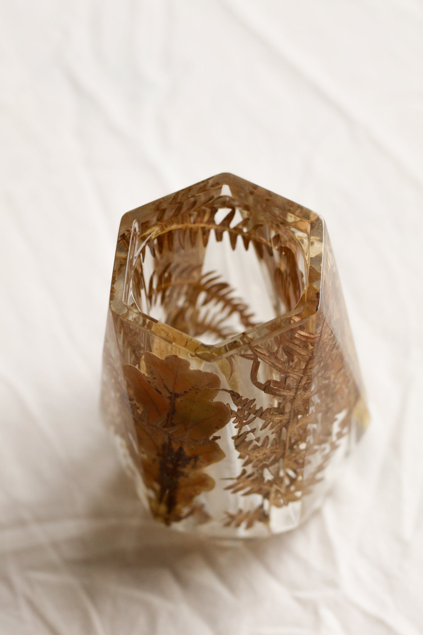 Fern vase n°01