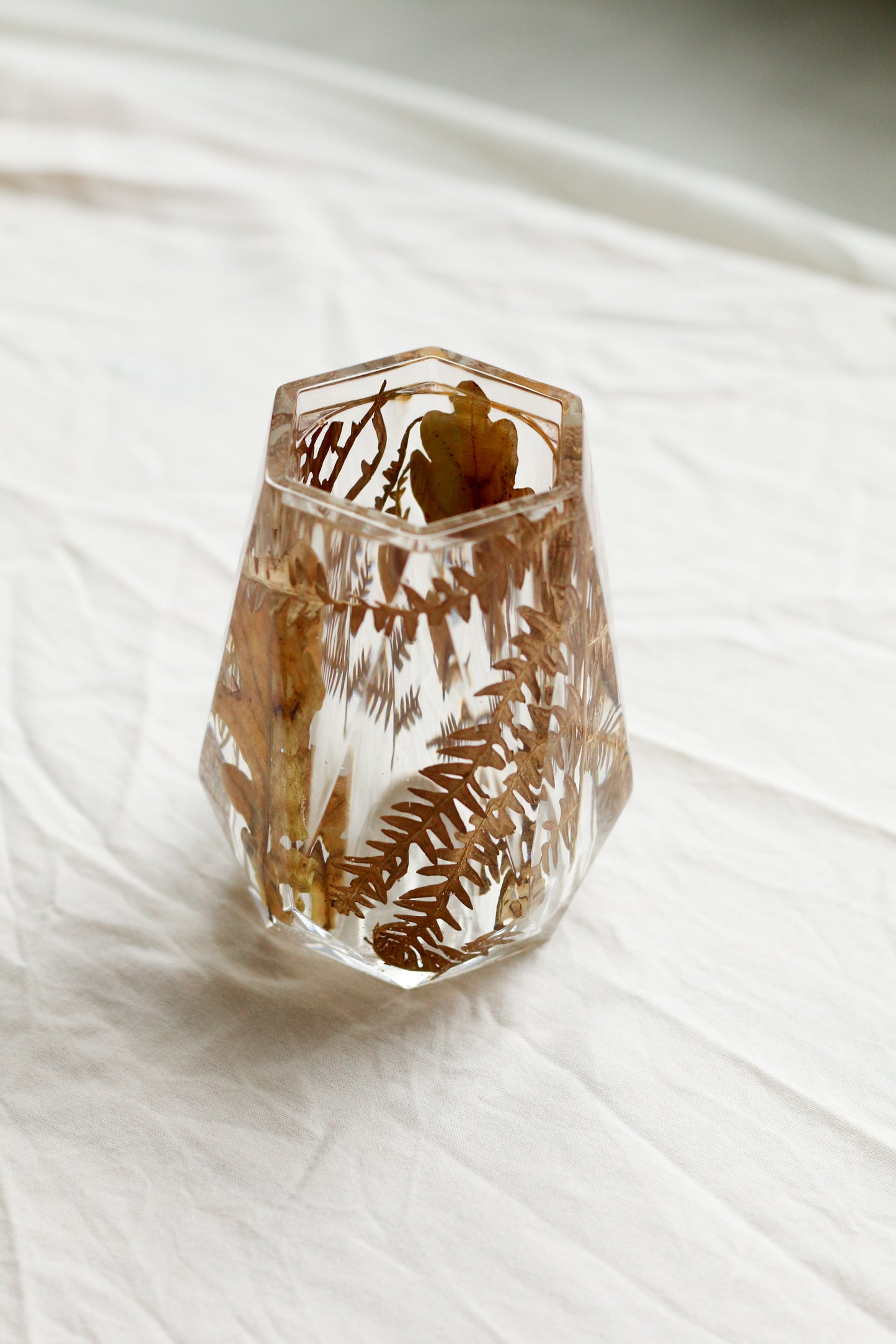 Fern vase n°01
