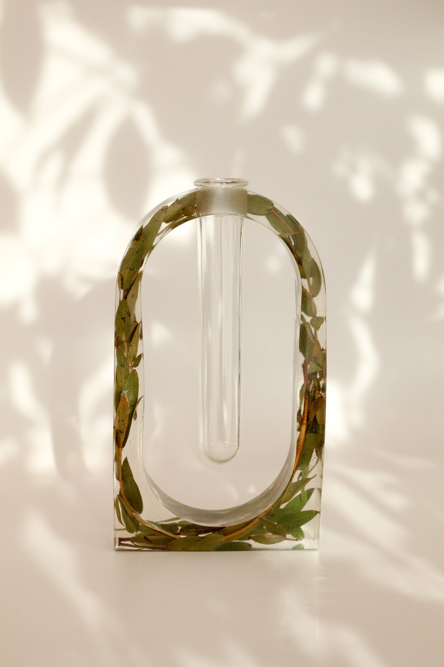 Soliflore eucalyptus