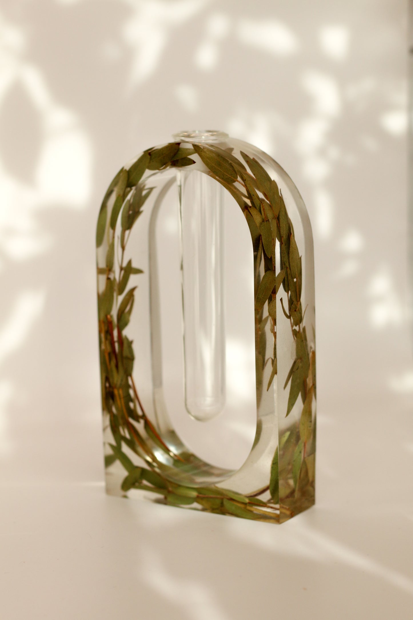 Soliflore eucalyptus