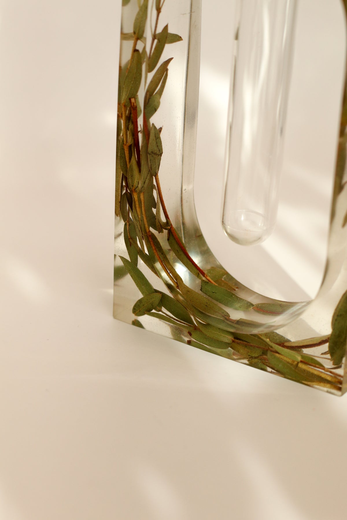 Soliflore eucalyptus