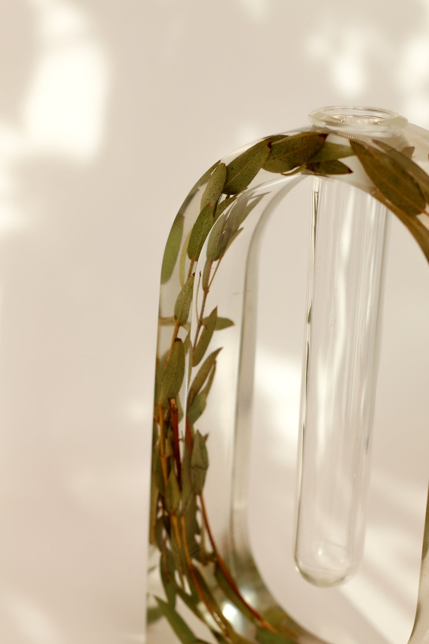 Soliflore eucalyptus