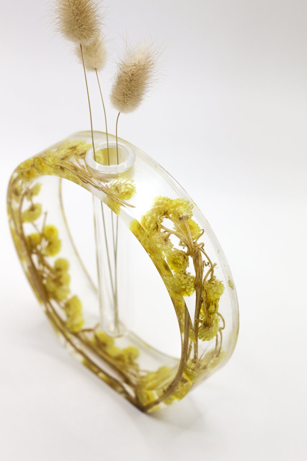 Oval immortelle soliflore