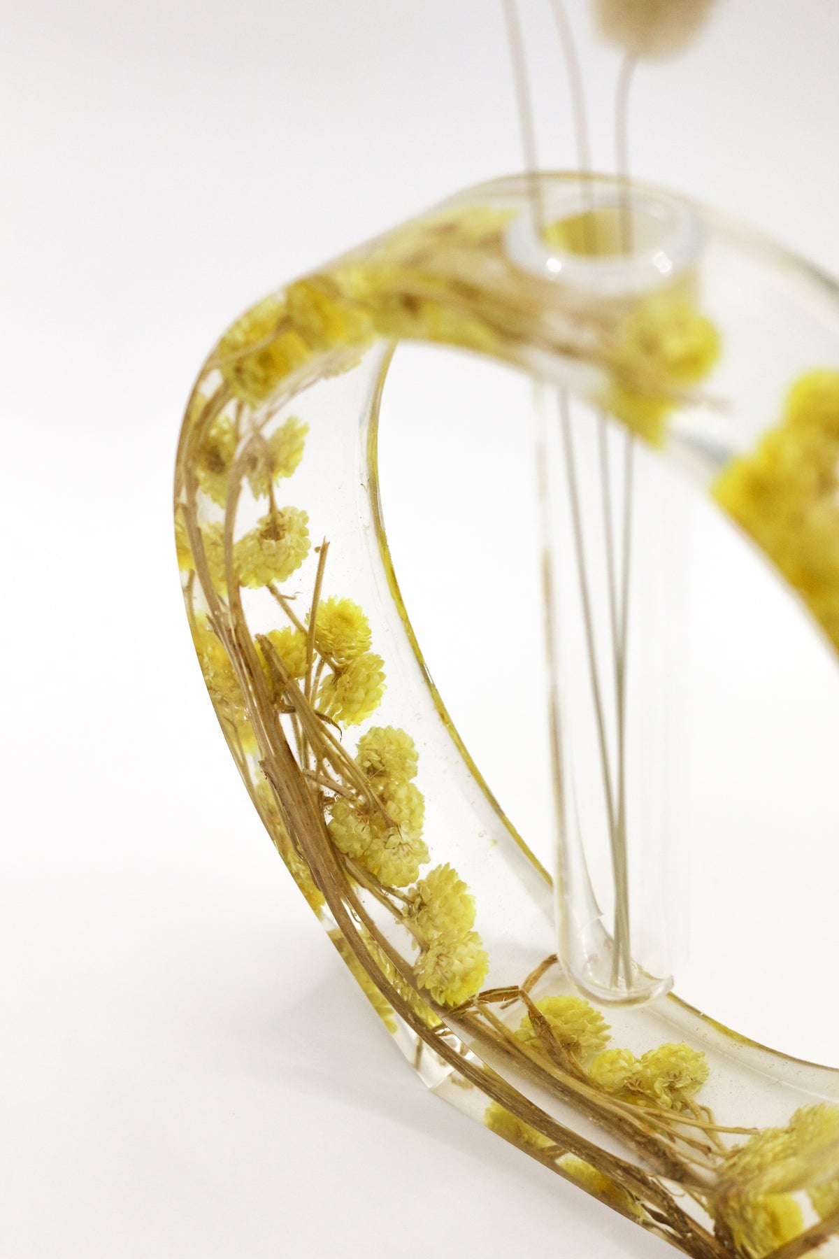 Oval immortelle soliflore