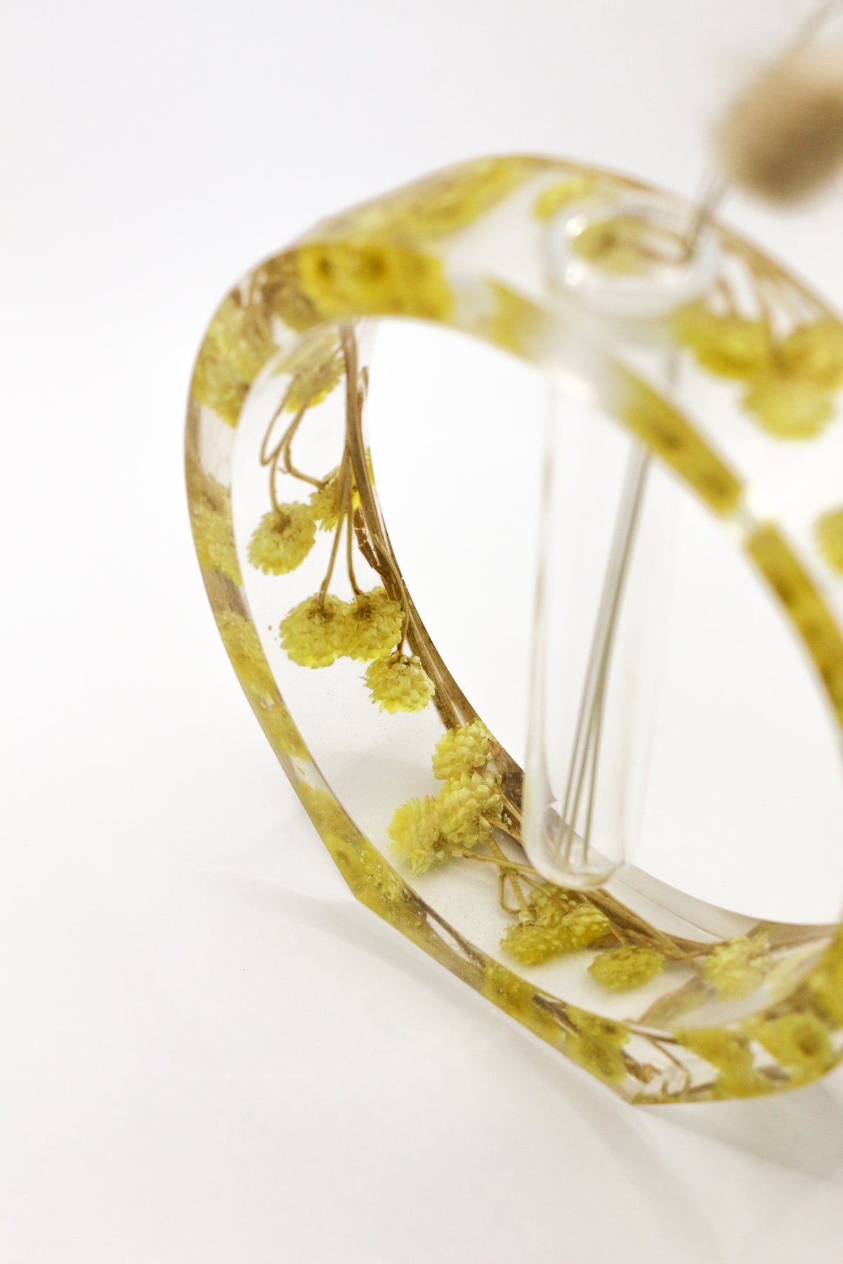 Oval immortelle soliflore