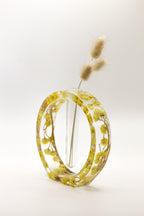 Oval immortelle soliflore