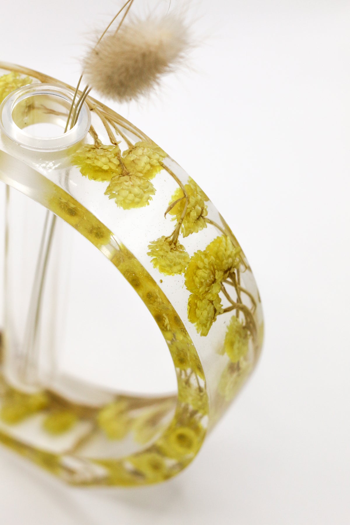 Oval immortelle soliflore