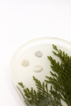 Cup No. 18