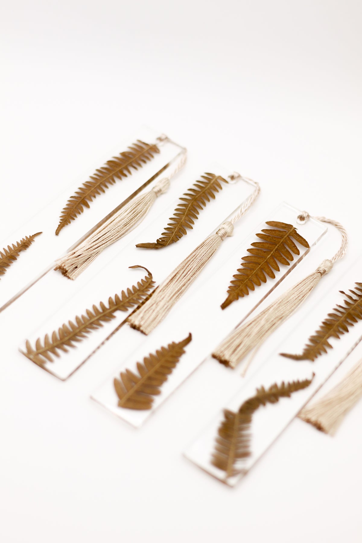 Fern bookmarks
