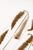 Fern bookmarks