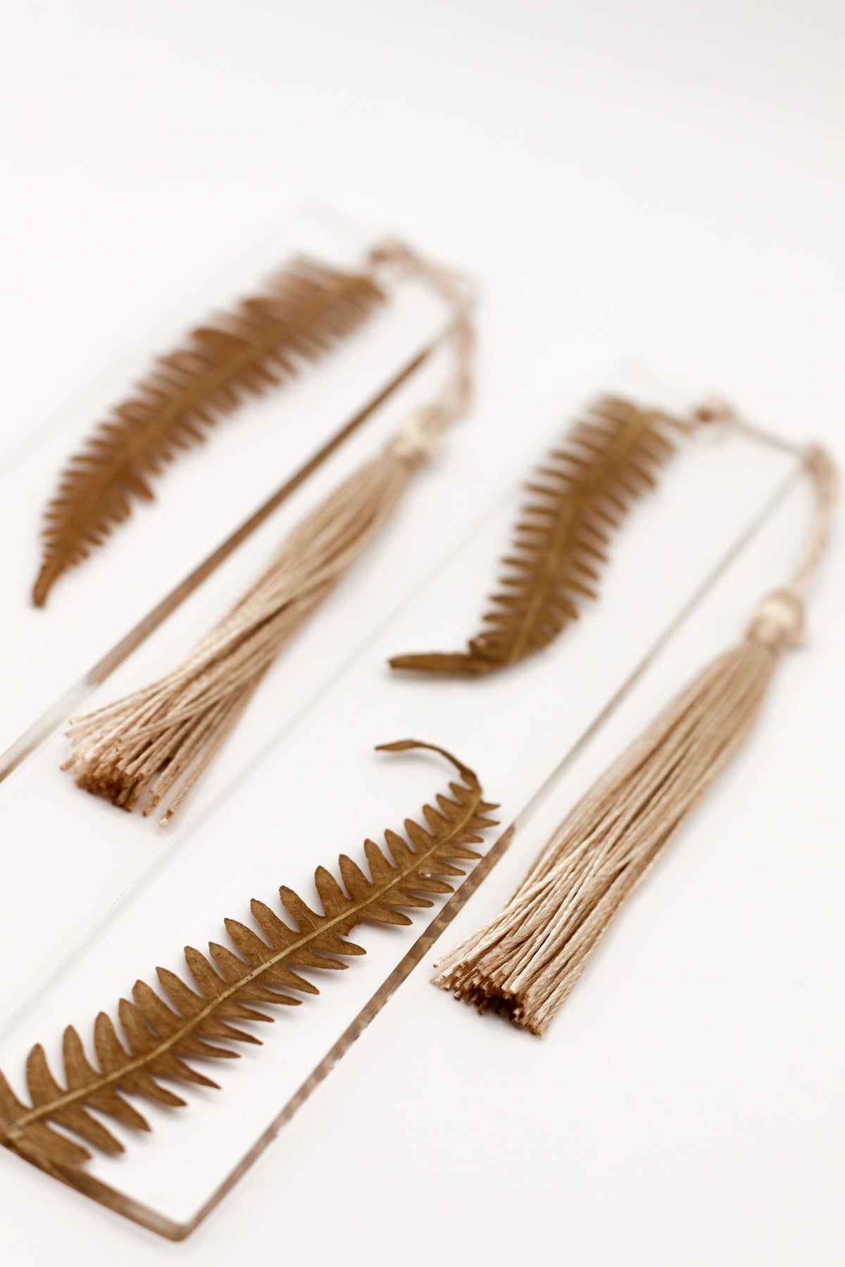 Fern bookmarks