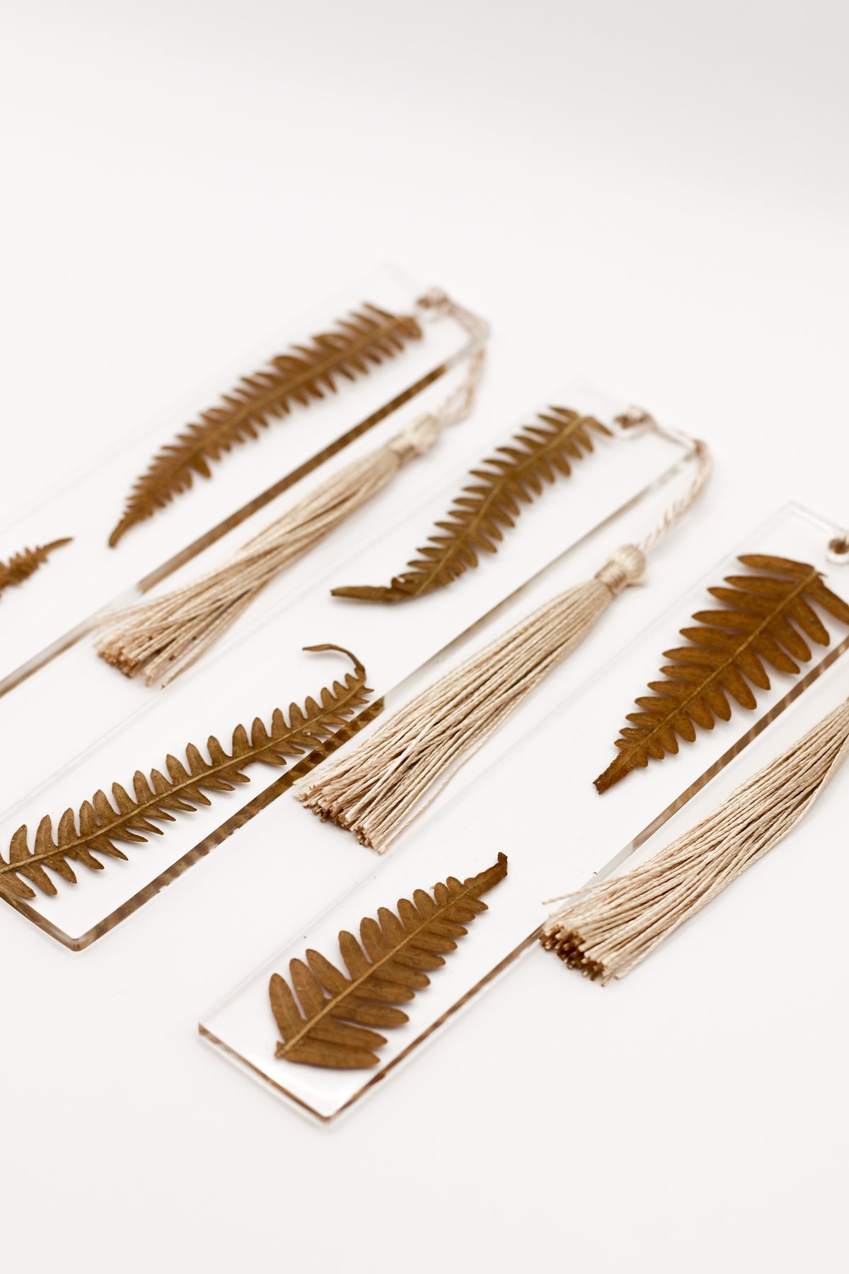 Fern bookmarks