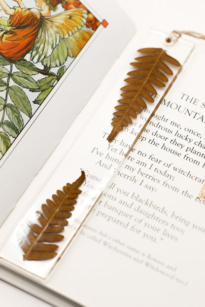 Fern bookmarks