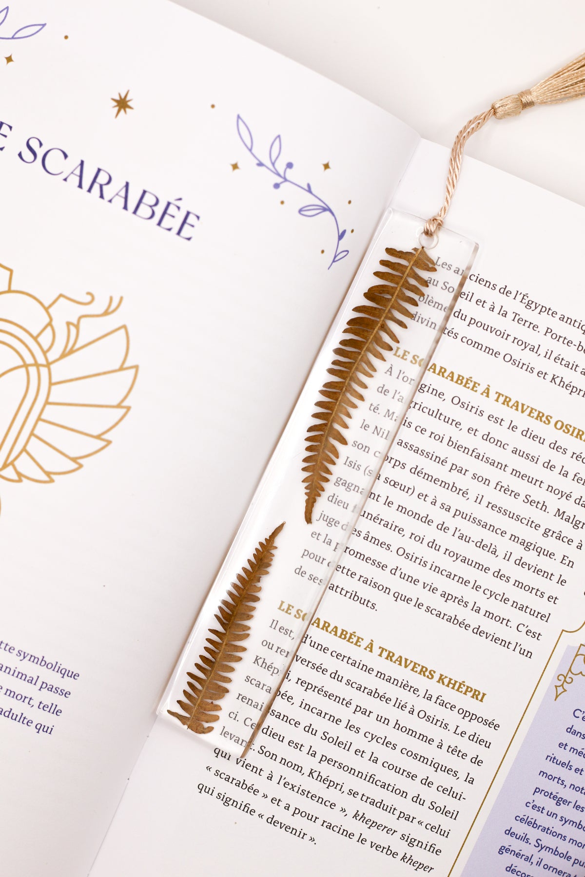 Fern bookmarks