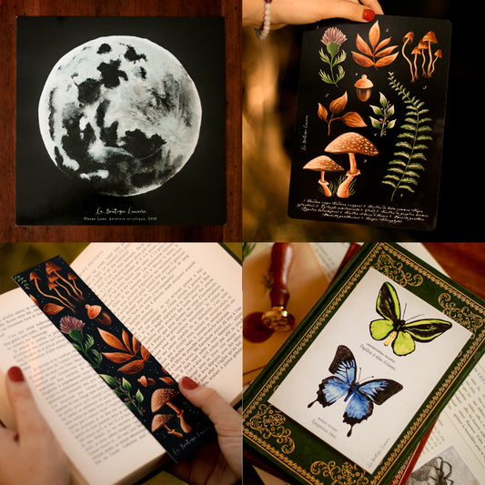 Set of "Enchanted" illustrations