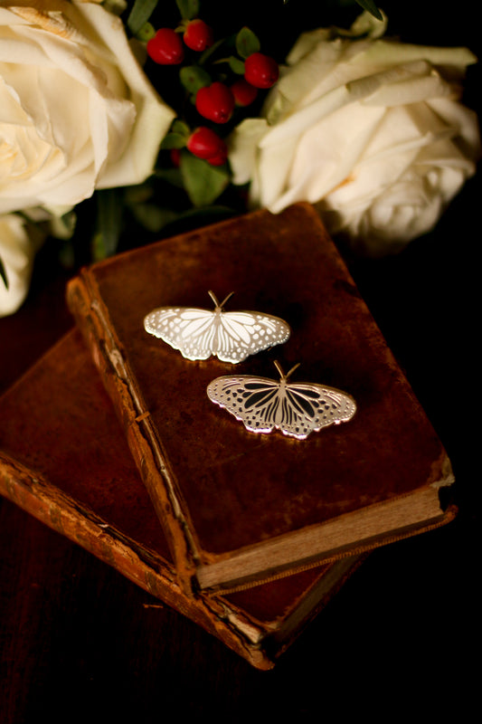 Set of 2 pins : Night & Light moth
