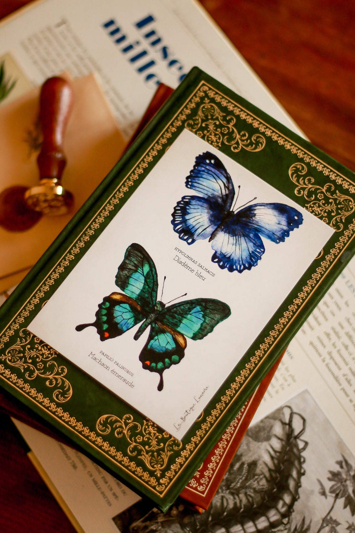 A6 Butterfly Study Board