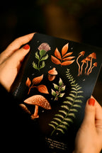 Illustration A5 Forest Picking