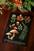 Affiche A4 Forest Picking