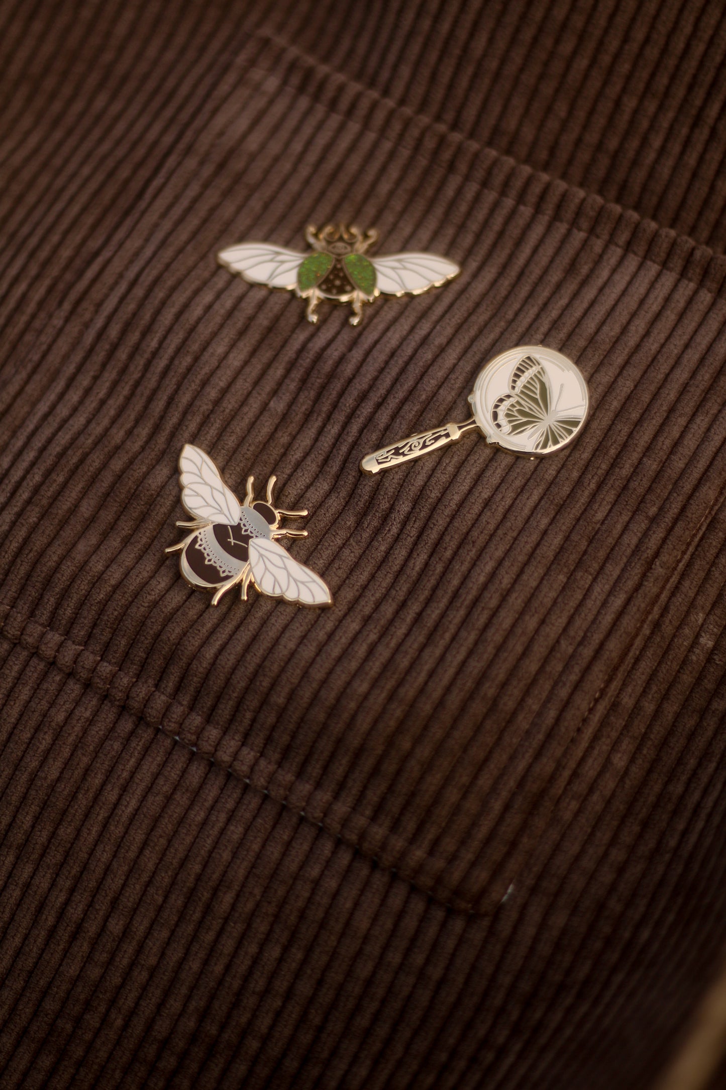 Lot de 3 pin's : abeille, scarabée, loupe